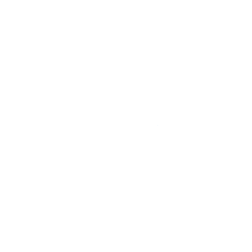 Sustainable Growth