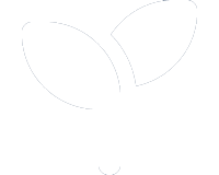Forest & Reforestation